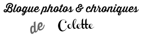 Le Blogue de Colette