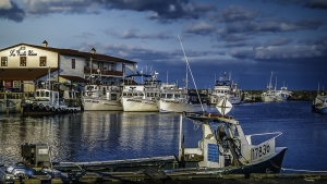 Port de pêche à l'Anse à Beaufils